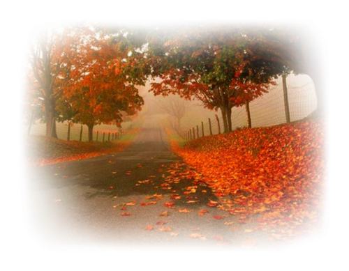 Png Doga Resimleri V100320181240 N15.png