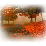 Png Doga Resimleri V100320181240 N15