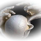 Png Doga Resimleri V100320181240 N27.png