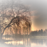 Png Doga Resimleri V100320181240 N28.png