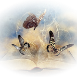 Png Doga Resimleri V100320181240 N23.png