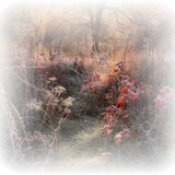 Png Doga Resimleri V100320181240 N29.png