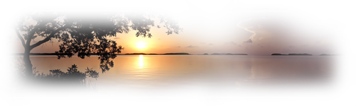 Png Doga Resimleri V100320181240 N41.png