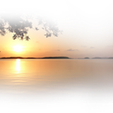 Png Doga Resimleri V100320181240 N41