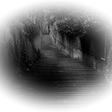 Png Doga Resimleri V100320181240 N20.png