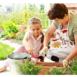 Florida Landscape Designs.png