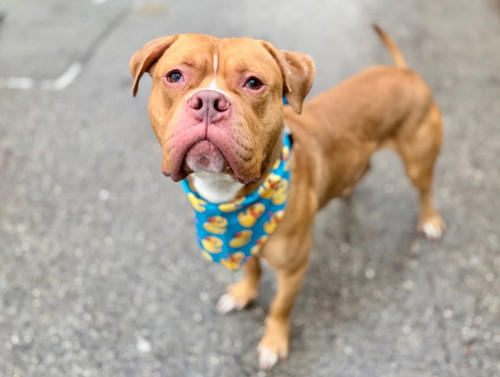 G v4XeobQAU OVY?format=jpg.jpg