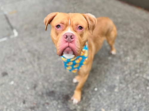 G v4f DbQAAk 1z?format=jpg.jpg