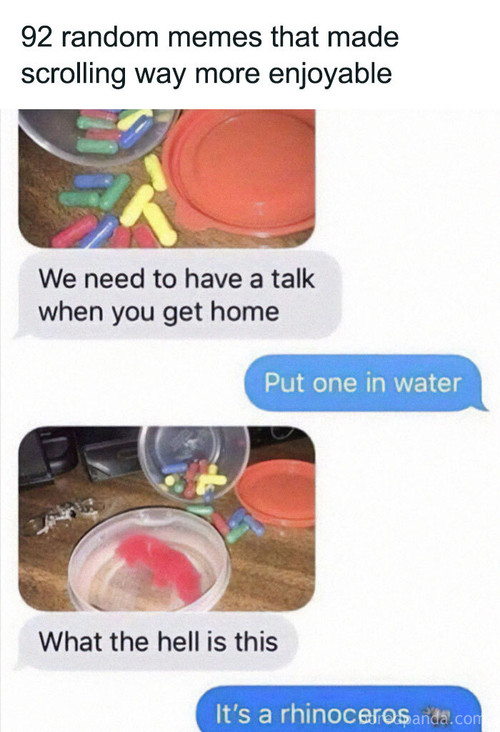 ridiculous relatable memes.jpg