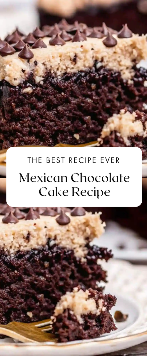 87b0428c caa9 48d8 856f 22810c82a6fa.png