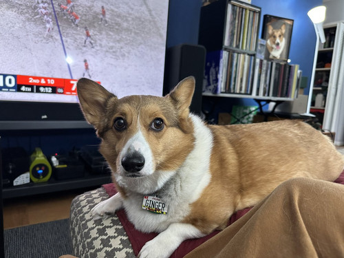 G o4t OXAAAWfUq?format=jpg.jpg