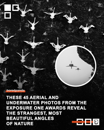 Community Img Share.jpg