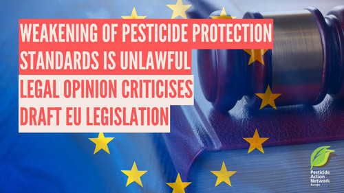 G pvHLeWsAEAV W?format=jpg.jpg