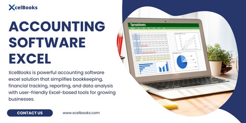 Accounting Software Excel.jpg