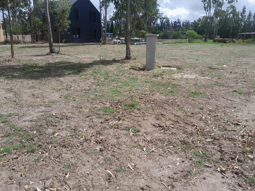CASA 08 Limpeza geral Terreno Obra.jpg