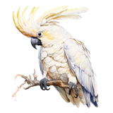 il 1140xN.7180827531 mfc2 pixian ai