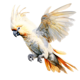 il 1140xN.7180827779 cp49 pixian ai