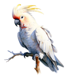 il 1140xN.7132856090 10db pixian ai