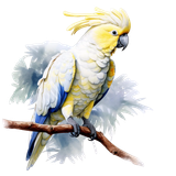 il 1140xN.7132856150 dttd pixian ai