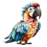 il 1140xN.7354174087 eegf pixian ai