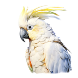 il 1140xN.7180827783 g3en pixian ai