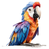 il 1140xN.7306216956 798m pixian ai