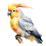 il 1140xN.7370997364 l9c9 pixian ai