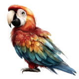 il 1140xN.7306216766 hcrz pixian ai