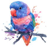 il 1140xN.6844176475 kzkc pixian ai