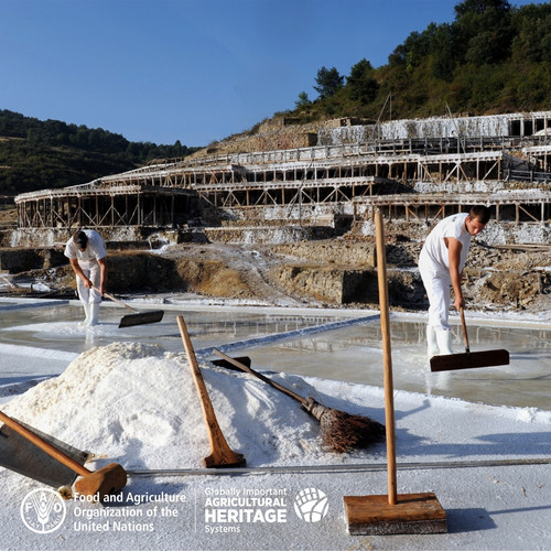 G BM4uGWYAEX aS?format=jpg.jpg