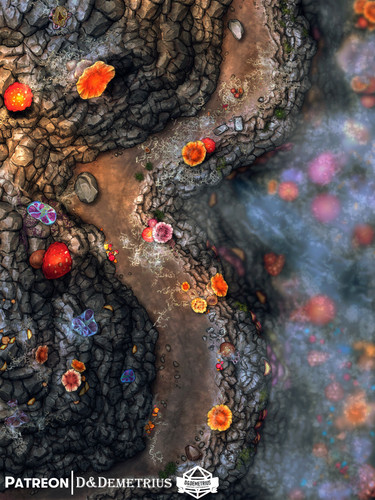 narrow cliffside trail mushroom grove.jpg