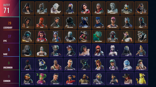 fortnite outfit 1 ENcat.png