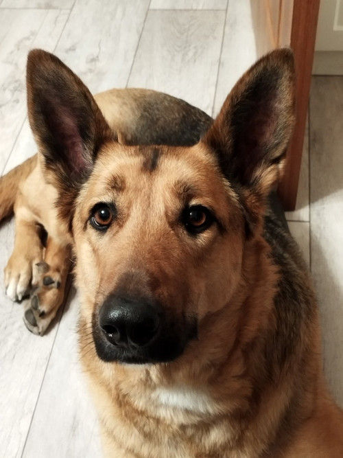 G nIdfwXwAAREPA?format=jpg.jpg