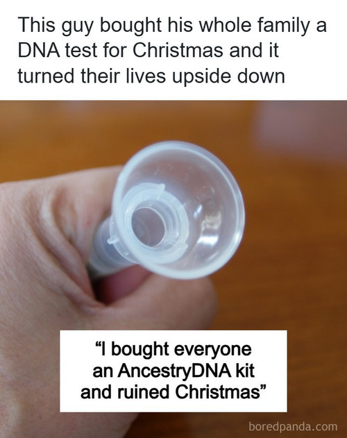 ancestry dna kit ruining christmas.jpg