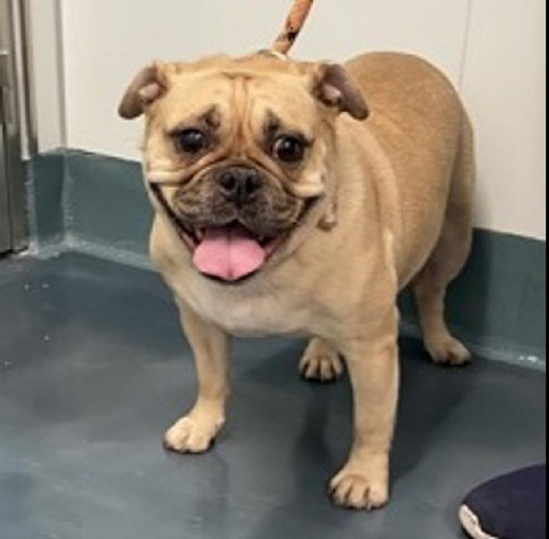 G hWeahWsAAKyR1?format=jpg.jpg