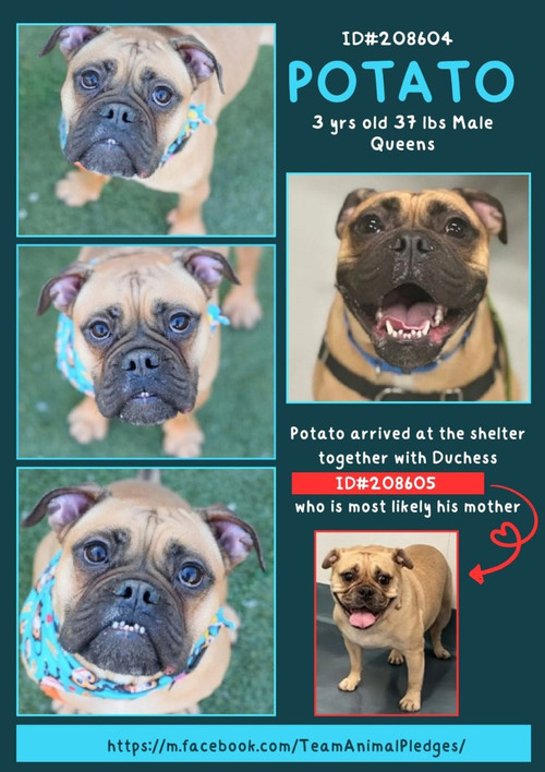 G ma7lKXUAAmdra?format=jpg.jpg