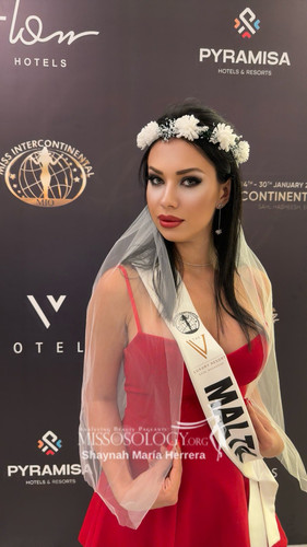 619762800 2463881877364092 143503509664445053 n.jpg? nc cat=108&ccb=1 7& nc sid=aa7b47& nc ohc=Y1J p.jpg