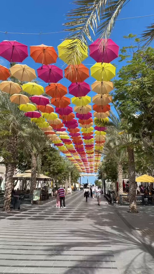 A0h Haw JvClC8sr.jpg