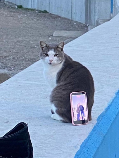 YqBPZeTjfB 4PK pdou720TVVB6dOKF7UhYCEcJUEjzNyoZgjZ7ieIeZk7sF76Gvh5kGdU1ob4kcsKSWCYNPLVFFrg tlcMQUC3a.jpg