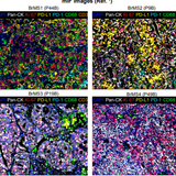 G nOZHeXEAE4SoF?format=png.png