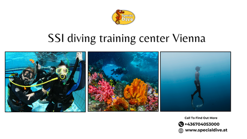 SSI Freiwasser Kurse Vienna für sicheres und selbstbewusstes Tauchen.png