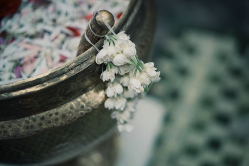  2026 01 27T191237.367.jpg