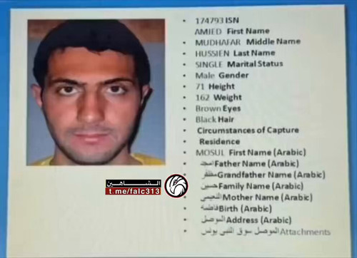 rHkVoOxF Gg4VL8d.jpg