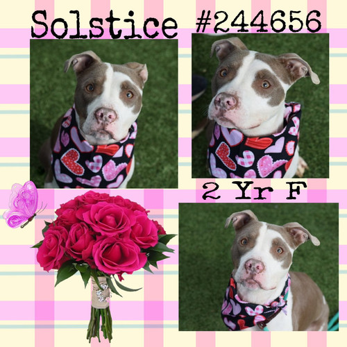 G EXc56WEAAbU9V?format=jpg.jpg