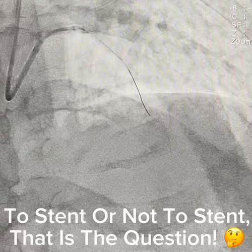 tHXs HkAWVCip7TR.jpg