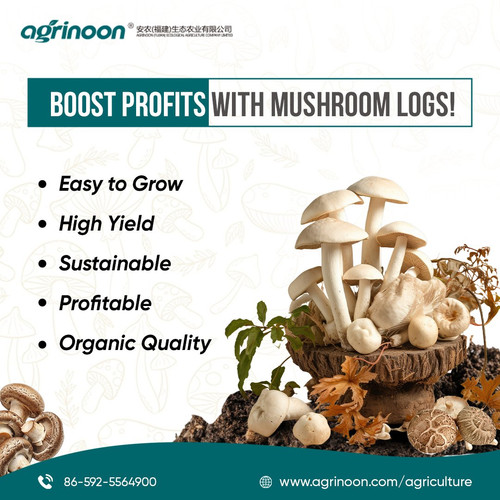 Turn Logs Into Profits with Mushroom Farming!.jpg