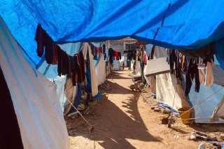 نائب المنسق الأممي لعملية السلام بالشرق الأوسط: نحو 1.5 مليون نازح في غزة يعانون أوضاعا إنسانية قاسية...