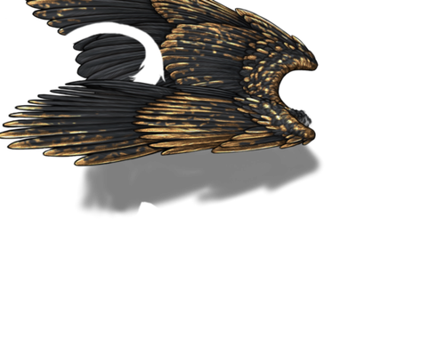 black gold snarky.png