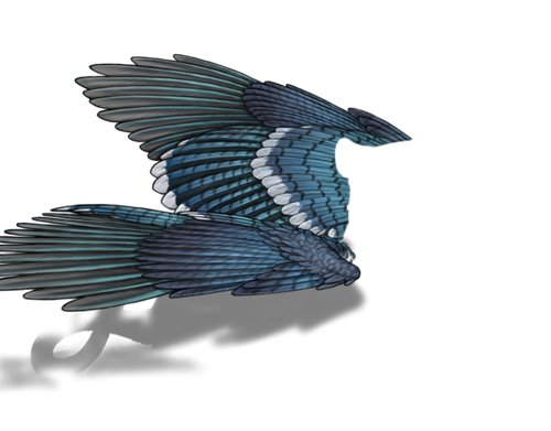 bluejay default.png