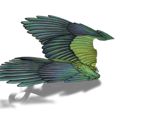 parakeet default.png